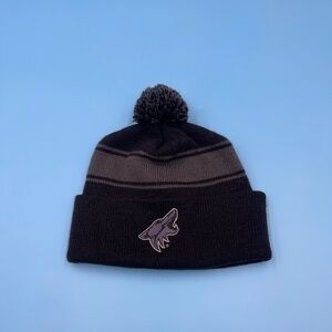 Arizona Coyotes Embroidered Beanie